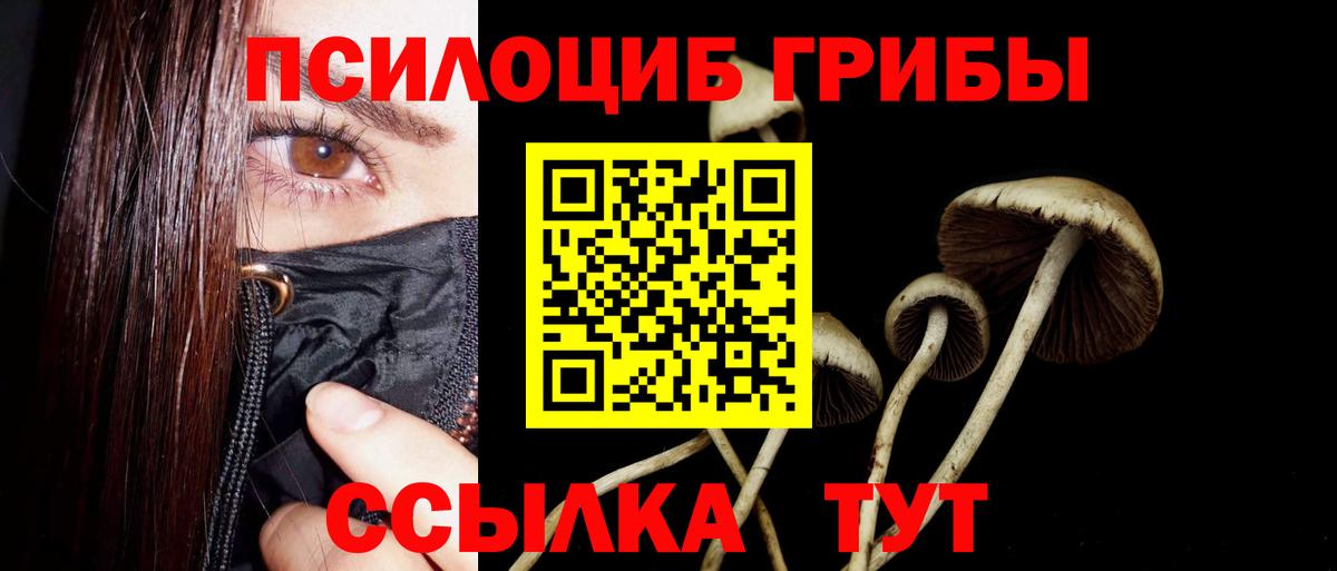 Псилоцибиновые грибы мицелий  купить  сайты  Донской  Вход с VPN 